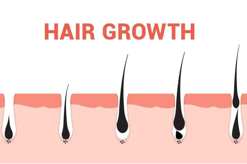 Hair growth study