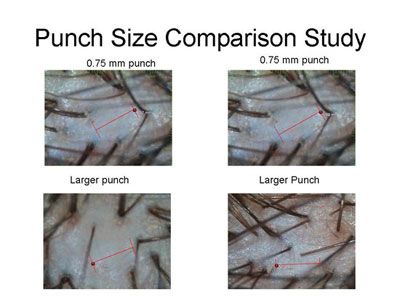 punch_size_comparison_study2.jpg