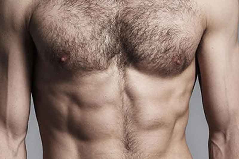 Body hair transplant growth rate